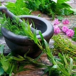 دوازدهمین کنگره ملی گیاهان دارویی